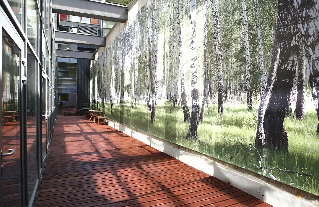 City Express Hostel-1